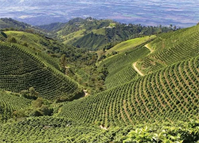 El Salvador El Congo Ground